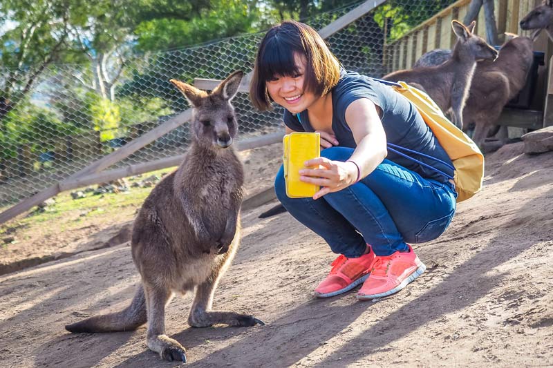Singaporeans travelling to Australia. What you need to know.