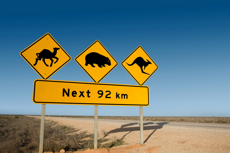 Singaporeans travelling to Australia. What you need to know.