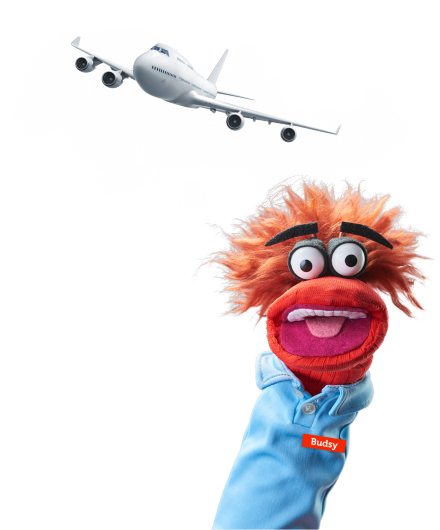 Budsy with flight